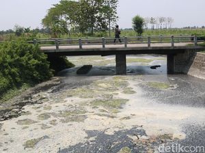 Pencemaran Sungai Avur Budug di Jombang Imbas Lemahnya Pengawasan Pencemaran Sungai Avur Budug di Jombang Imbas Lemahnya Pengawasan