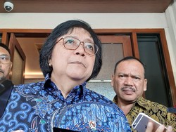 Alasan KLHK Putus Kerja Sama WWF Indonesia: Ada Klaim Sepihak Fakta Lapangan