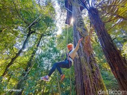 Menguji Nyali di Balik Hijaunya Negeri Kiwi