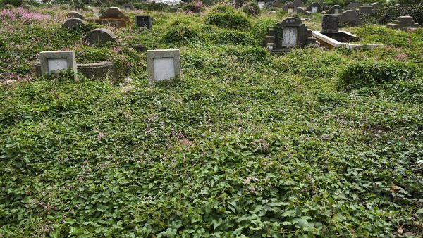 Pemprov DKI Bakal Merevitalisasi 17 TPU di Jakarta