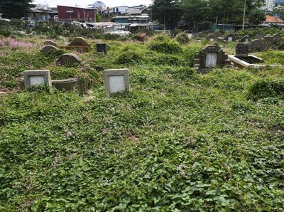 Pemprov DKI Bakal Merevitalisasi 17 TPU di Jakarta