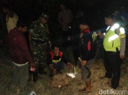 Muntah Setelah Disengat Tawon, Warga Klaten Dirawat Intensif di RS