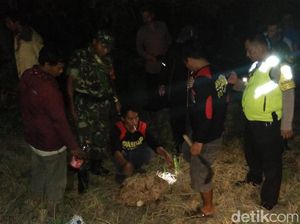 Muntah Setelah Disengat Tawon, Warga Klaten Dirawat Intensif di RS Muntah Setelah Disengat Tawon, Warga Klaten Dirawat Intensif di RS