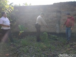 Polisi akan Periksa Pemilik Rottweiler yang Tewaskan Pria di Sumut
