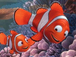 Duh, Ikan Kawan-kawan Nemo Terancam Punah Duh, Ikan Kawan-kawan Nemo Terancam Punah