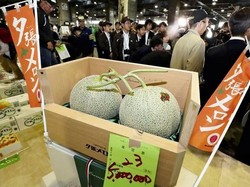 Bisa Beli Apartemen! Ini 5 Harga Buah Termahal di Dunia