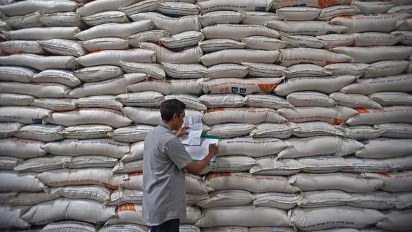 Melimpah, Stok Beras Bulog Mencapai 98 Ribu Ton