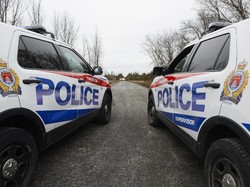 Pesawat Ringan Jatuh ke Hutan Dekat Danau Ontario, 7 Orang Tewas