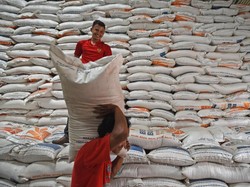 Bulog Mau Serap 950.000 Ton Beras Petani Tahun Ini