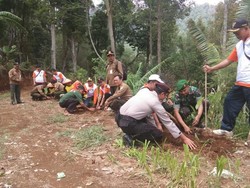 515 Ribu Pohon Ditanam di Hutan Gunung Lawu yang Terbakar