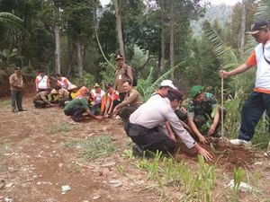 515 Ribu Pohon Ditanam di Hutan Gunung Lawu yang Terbakar 515 Ribu Pohon Ditanam di Hutan Gunung Lawu yang Terbakar