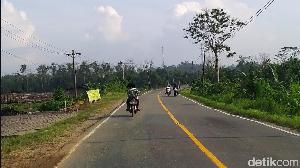 Intip Kondisi Jalan dan Lalu Lintas di Calon Ibu Kota Indonesia