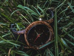 Modal Rp 50 Ribu, Batok Kelapa Bisa Cetak Omzet Rp 10 Juta