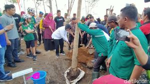 Risma Tanam 1.000 Pohon Tabebuya di Gelora Bung Tomo