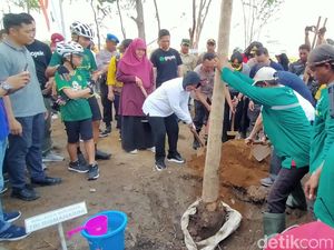 Risma Tanam 1.000 Pohon Tabebuya di Gelora Bung Tomo