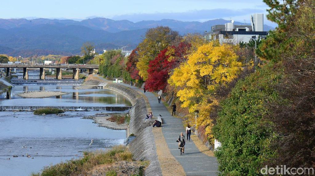 Membuktikan Keindahan Musim Gugur di Kyoto