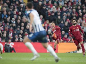 7 Data-Fakta Jelang Brighton Vs Liverpool