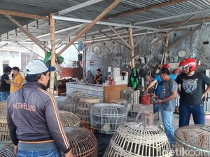 Video Penggerebekan Judi Sabung Ayam, Ada yang Kabur Nyebur ke Sungai