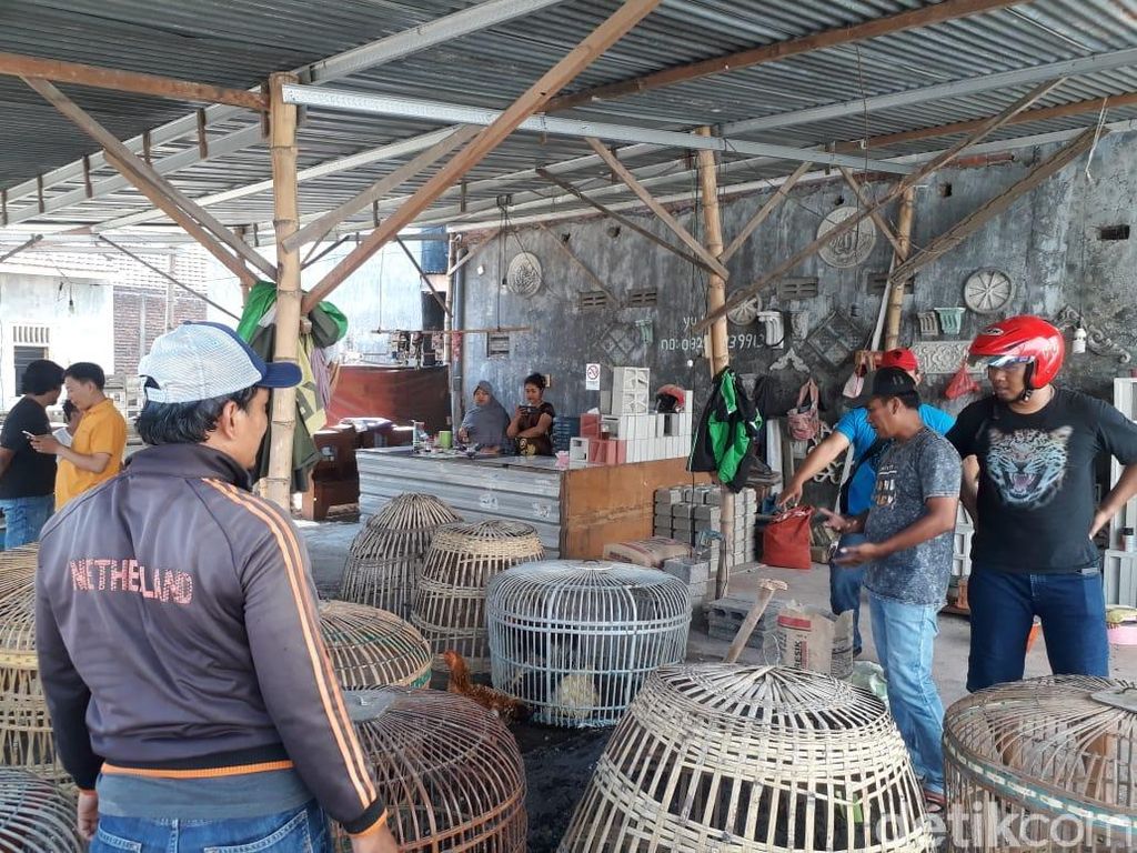 Video Penggerebekan Judi Sabung Ayam, Ada yang Kabur Nyebur ke Sungai Video Penggerebekan Judi Sabung Ayam, Ada yang Kabur Nyebur ke Sungai