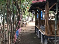 Teduh Banget! Yuk Tamasya ke Hutan Bambu Kota Bekasi