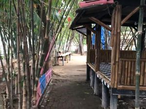 Teduh Banget! Yuk Tamasya ke Hutan Bambu Kota Bekasi Teduh Banget! Yuk Tamasya ke Hutan Bambu Kota Bekasi