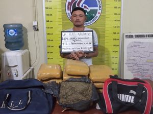 Polisi Ringkus Kurir 11,5 Kg Ganja di Padangsidimpuan