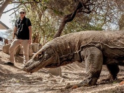 Labuan Bajo Jadi Wisata Super Premium, Wishnutama: Jangan Khawatir