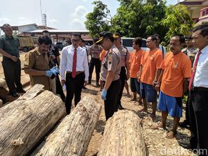 Polisi Ringkus Eks Pegawai Perhutani Terkait Illegal Logging di Blora