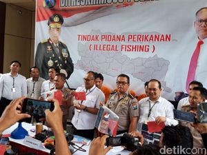 Polisi Gagalkan Penyelundupan Benih Lobster ke Vietnam Senilai Rp 1,5 M