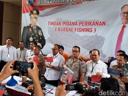 Polisi Gagalkan Penyelundupan Benih Lobster ke Vietnam Senilai Rp 1,5 M