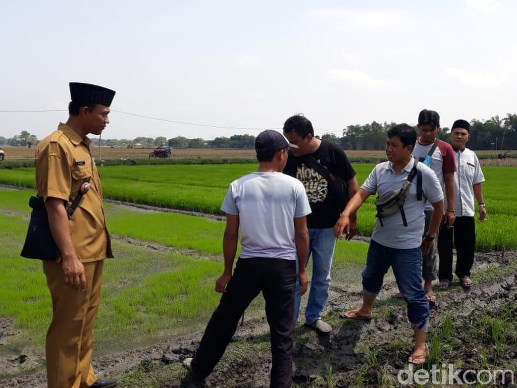 Petani di Ngawi Tewas Tersetrum Jebakan Tikus yang Dipasangnya Sendiri Petani di Ngawi Tewas Tersetrum Jebakan Tikus yang Dipasangnya Sendiri