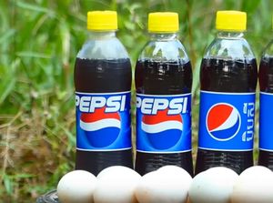 Bukan Kail dan Jala, Ikan Dipancing Pakai Telur dan Minuman Soda Bukan Kail dan Jala, Ikan Dipancing Pakai Telur dan Minuman Soda