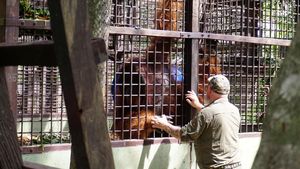 Pusat Suaka Orangutan Arsari Diresmikan
