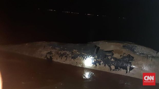 Paus yang Membusuk di Pesisir Balikpapan Dibakar