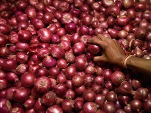 Bukan Uang atau Perhiasan, Perampok Ini Curi Bawang Seharga Rp 10 Juta Bukan Uang atau Perhiasan, Perampok Ini Curi Bawang Seharga Rp 10 Juta