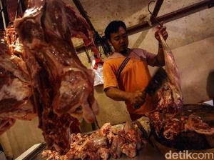 Peternak Sapi Bawa Kasus Penyakit Mulut dan Kuku ke MK, Ada Apa?