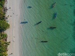 Mau Lihat Dinosaurus Mini? Ada Nih di Maluku!