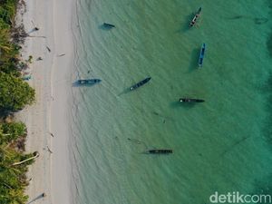 Mau Lihat Dinosaurus Mini? Ada Nih di Maluku! Mau Lihat Dinosaurus Mini? Ada Nih di Maluku!