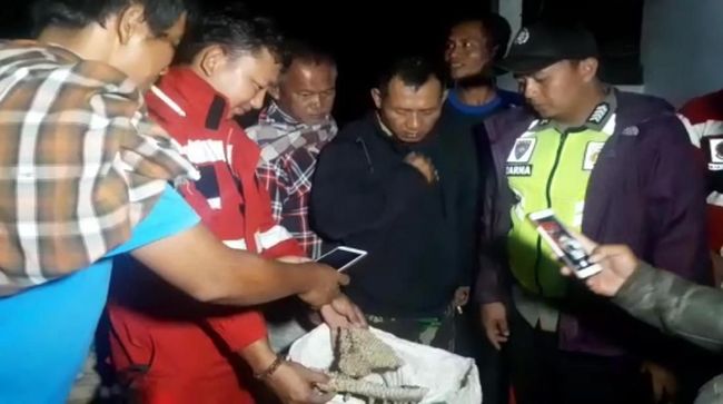 Evakuasi Sarang Tawon Vespa Malam Hari, Ini Alasan Damkar Sukabumi Evakuasi Sarang Tawon Vespa Malam Hari, Ini Alasan Damkar Sukabumi
