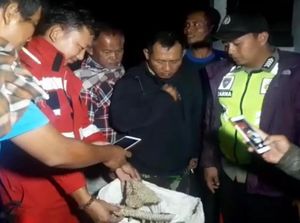Evakuasi Sarang Tawon Vespa Malam Hari, Ini Alasan Damkar Sukabumi