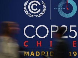 KTT Iklim di Madrid, 200 Negara Tunjukkan Komitmen dalam Revolusi Hijau