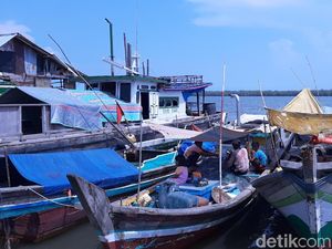 Foto: Tempat Melihat Lumba-lumba di Palembang