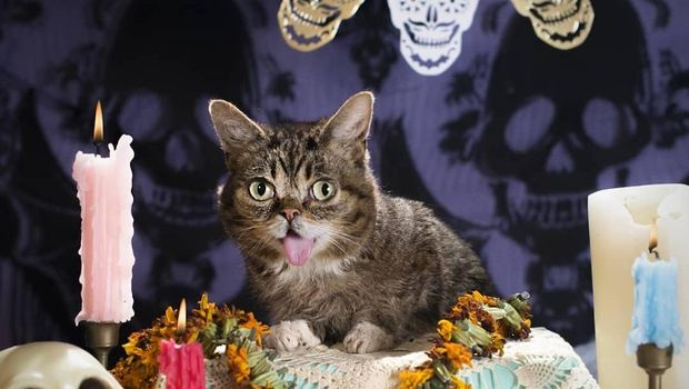Lil BUb