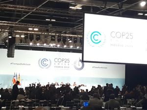 Konferensi Perubahan Iklim ke-25 Diharapkan Bawa Aksi Nyata Kurangi Emisi
