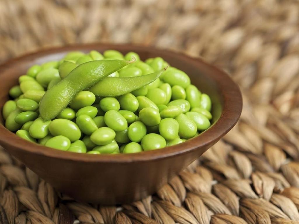 Seringlah Ngemil Edamame dan Dapatkan 5 Manfaat Sehat Ini Seringlah Ngemil Edamame dan Dapatkan 5 Manfaat Sehat Ini