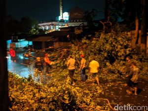 2 Bikers Luka Tertimpa Pohon Tumbang Akibat Angin Kencang di Mojokerto