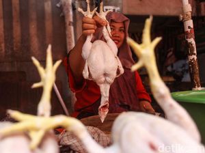 Harga Daging Ayam dan Telur Bikin September Deflasi 0,05% Harga Daging Ayam dan Telur Bikin September Deflasi 0,05%