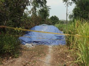 Ini Keluhan Warga Nganjuk Sebelum Limbah B3 Disegel Tim KLHK