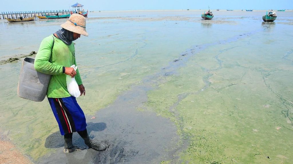 Potret Pantai Rembang yang Tercemar Limbah