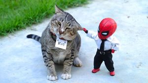 Aksi Kocak Spider-Man yang Bikin Ngakak